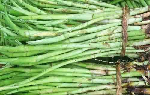 Fresh Kochur Loti